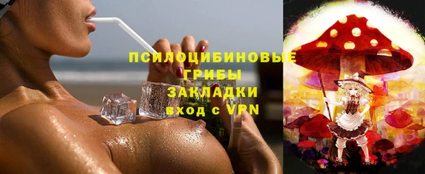 молекула духа Навашино