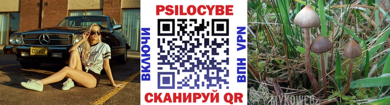mega как войти где продают Лосино-Петровский Галлюциногенные грибы Magic Shrooms