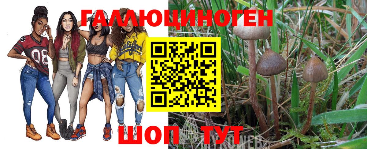 Галлюциногенные грибы Magic Shrooms  Вход с VPN  Лосино-Петровский 